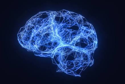THE REAL IMPACT OF YOUR BRAIN